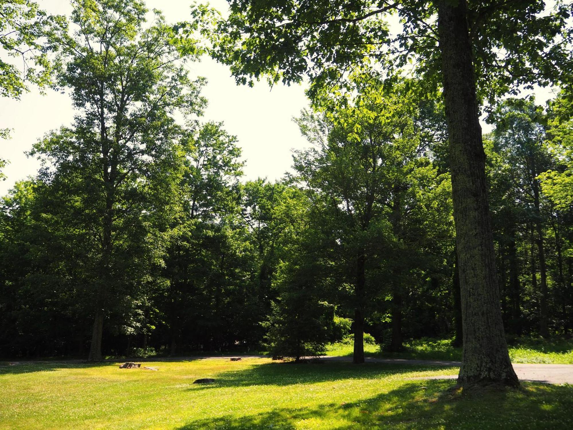 Woodfield Manor - A Sundance Vacations Property Cresco Экстерьер фото